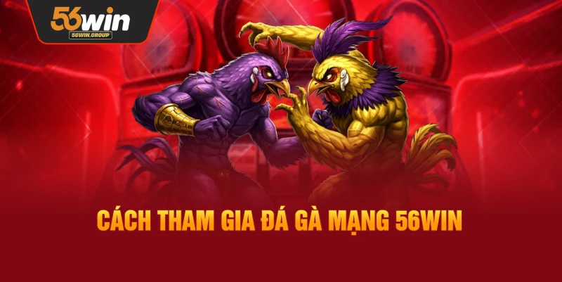 Hướng dẫn tham gia đá gà mạng tại 56WIN