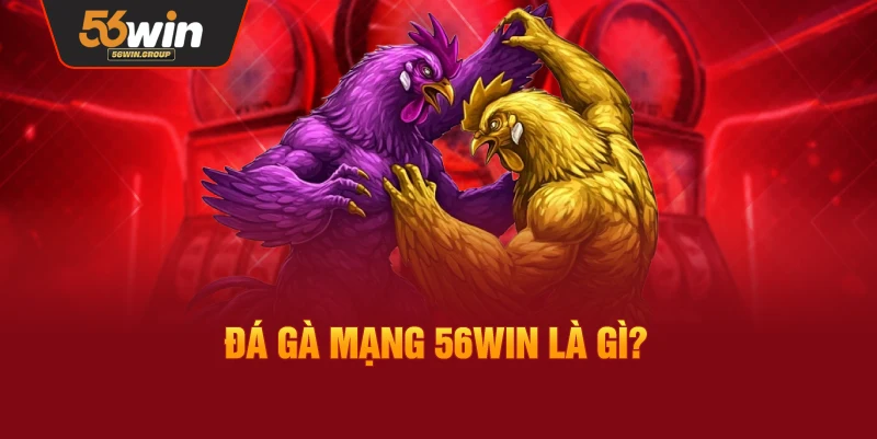 Đá Gà Mạng 56WIN là gì? Khái quát tổng quan về hình thức này