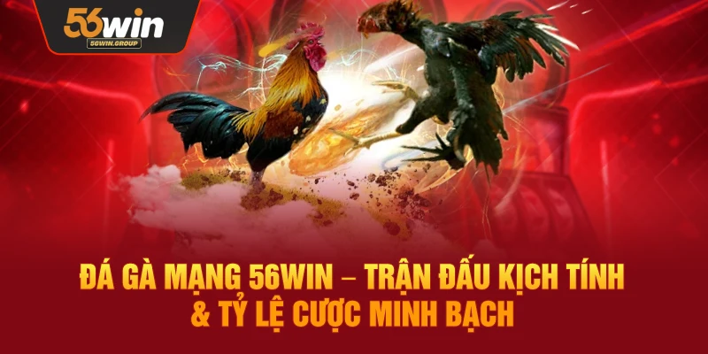 Đá Gà Mạng 56WIN – Trải Nghiệm Trận Đấu Kịch Tính Với Tỷ Lệ Cược Rõ Ràng